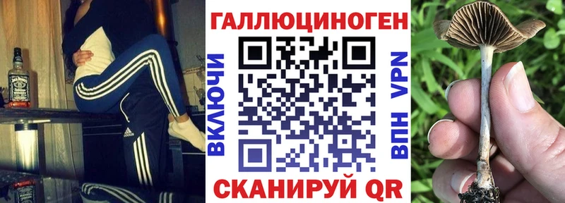 Купить  Афипский  Галлюциногенные грибы MAGIC MUSHROOMS 
